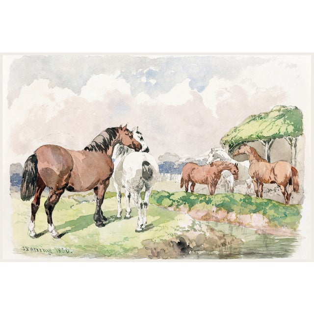 1850 Vintage English Equestrian Art Print by John Frederick Herring - 54" X 36" For Sale