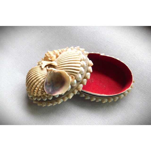 Antique Victorian Shell Wwi, Navy Sailor Valentine Gift, Oval Boudoir Jewelry Ring Box For Sale - Image 4 of 9