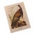 Vintage Audubon Style “Wild Turkey” Ornithological Print, Unframed For Sale