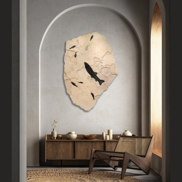 This irregularly shaped fossil mural features a dynamic flow of exquisitely preserved, 50 million year old fossil fish....