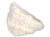 Mid 20th Century Large Natural Coral Bowl For Sale - Image 5 of 6