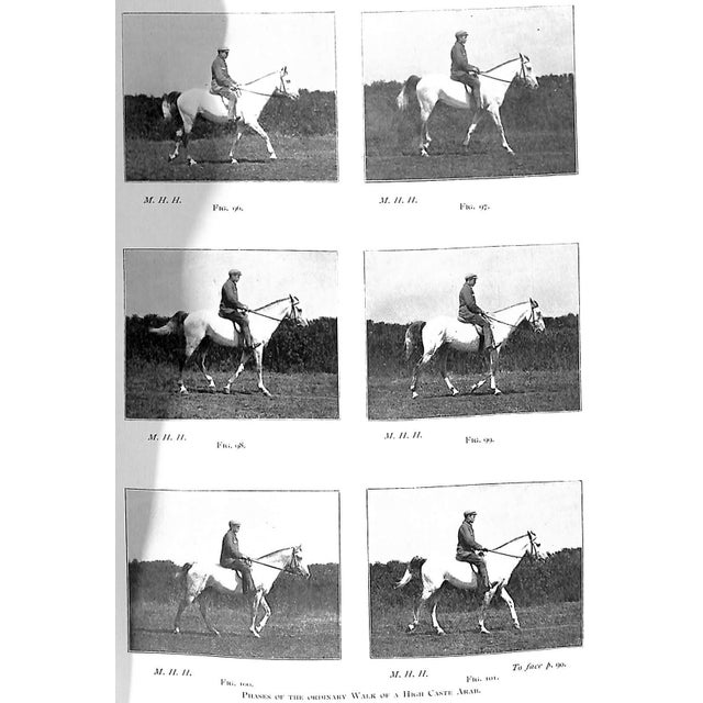 Late 19th Century "Points of the Horse" 1897 Hayes, Capt M. Horace For Sale - Image 5 of 9