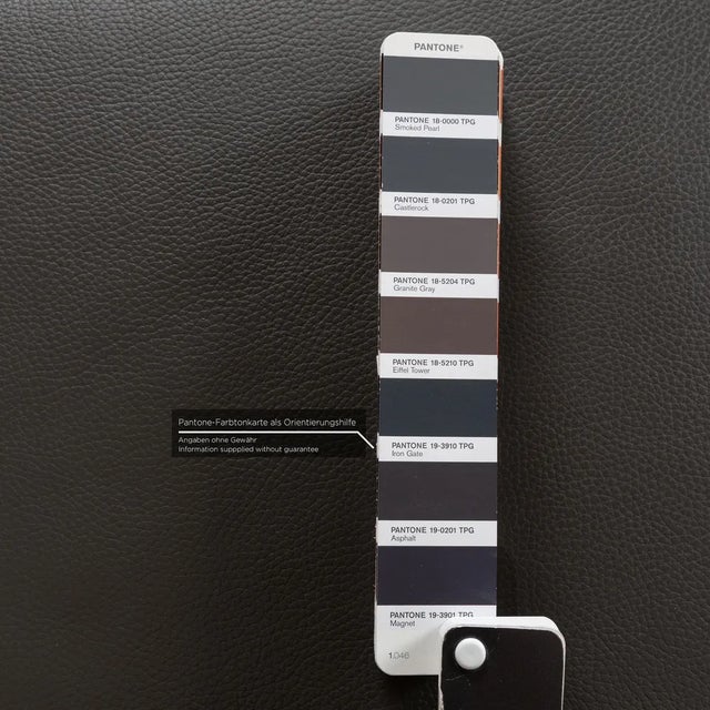 Leather Lounge Chair in Grey from Brühl Roro For Sale - Image 4 of 13