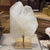 A natural quartz crystal from Uruguay that is presented on a custom gold toned metal stand. Quartz crystals have been...