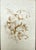 Brown Antique Vintage Set Four French Sepia Style of Francois Boucher Giltwood Frames For Sale - Image 8 of 9