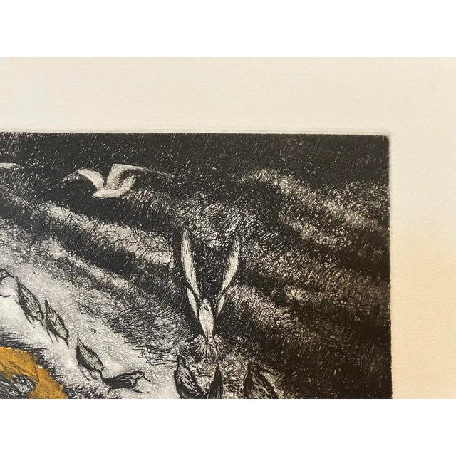 Vintage Arnold Grossman Etching W/ Aquatint "California Shorebirds at Low Tide, C. 1970s For Sale - Image 4 of 10