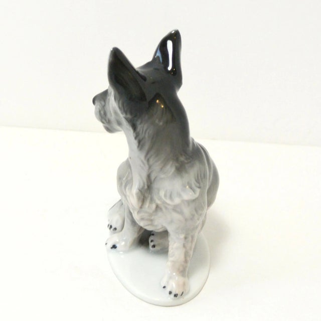 Rosenthal Porcelain Seated Scottish Terrier Figurine C.1930's - 1940's For Sale In Jacksonville, FL - Image 6 of 8