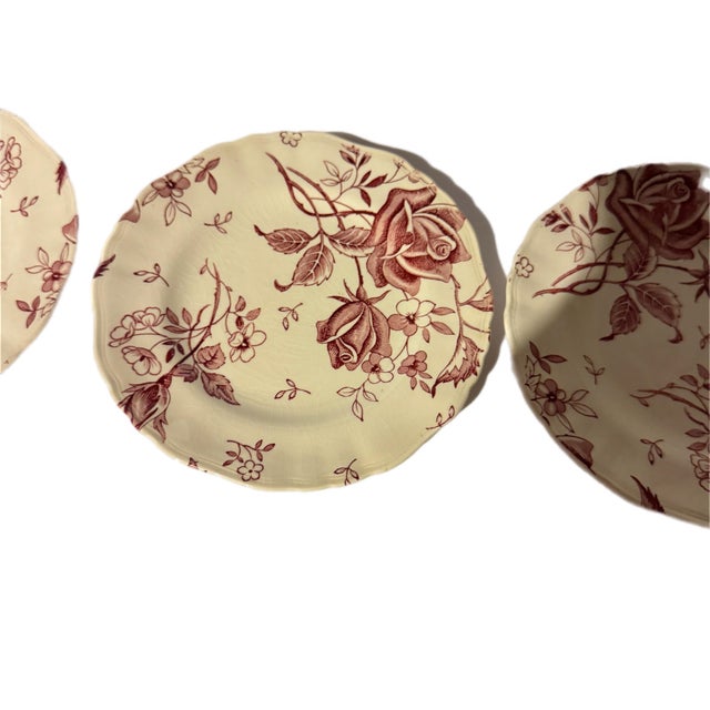 Mid Century J & G Meakin Tudor Roses Cream & Burgundy Ironstone Salad Plates - Set of 8 For Sale In Columbia, SC - Image 6 of 7