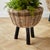 Kenneth Ludwig Chicago Woven Rattan Dry Basket Plant Riser 17" For Sale - Image 4 of 5