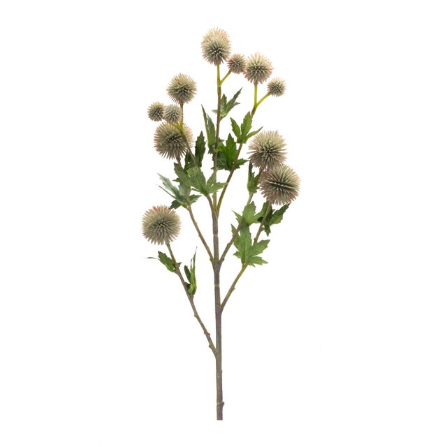Bring a touch of natural beauty to your space with this elegant Sage Allium Floral Spray Set. Featuring lush variegated...