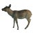 20th Century Bronze Deer Statue W/ Amazing Patina For Sale