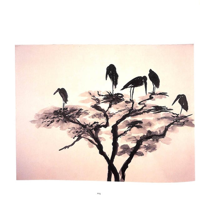 "Shadows of Africa" 1992 Matthiessen, Peter and Frank, Mary (Co-Signed) For Sale - Image 12 of 12