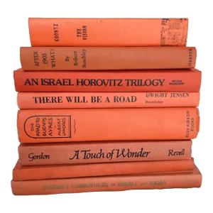 Vintage Hardback Library Decorative Book Stack Orange Book