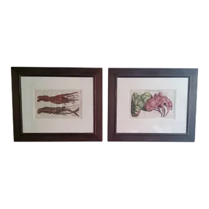 Antique Copper Engravings of a Lobster and Crab, Framed - Set of 2