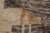 Textile Rug & Kilim’s Abstract Rug in an All Over Geometric Pattern For Sale - Image 7 of 8