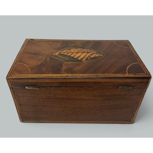 Wood Antique Georgian Mahogany Satinwood Inlaid Jewelry Cigar Conch Shell Casket Box For Sale - Image 7 of 9