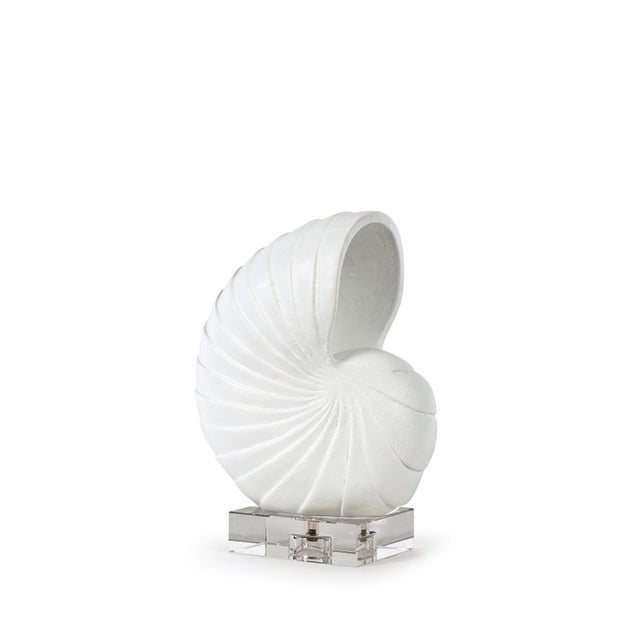 Nautilus Shell Small, White For Sale - Image 4 of 4