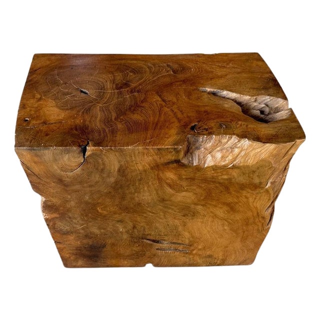 Andrianna Shamaris Sculptural Teak Wood Side Table Or Coffee Table For Sale