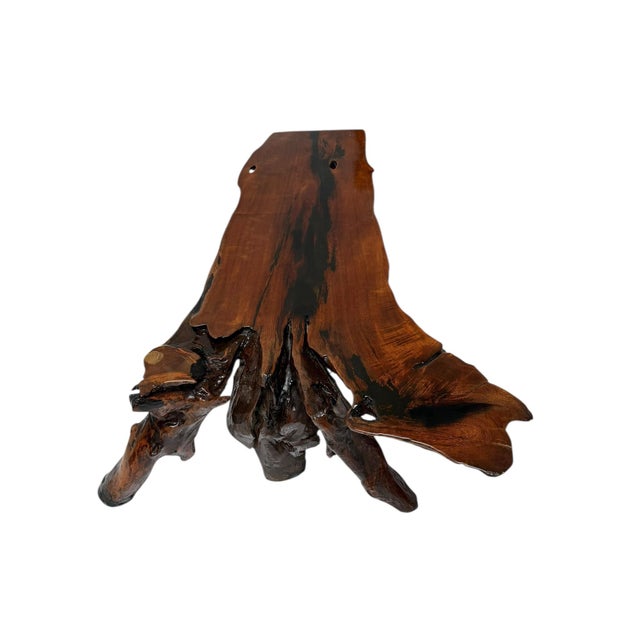 Brutalist Tree Root Coffee Table, 1970s For Sale - Image 12 of 14