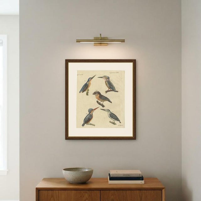Bertuch, Four Kingfishers on Branches, 1818, Print For Sale - Image 10 of 12