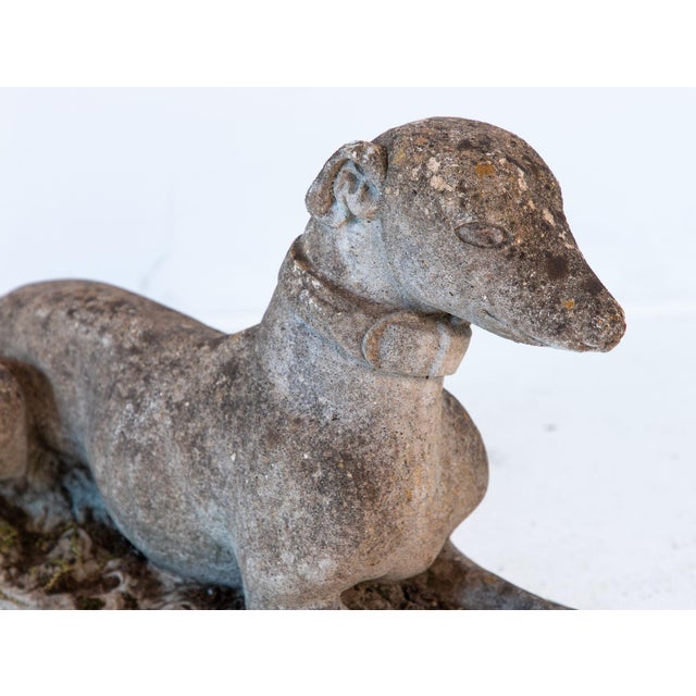 English Mid 20th Century English Reconstituted Stone Whippet or Greyhound Dog For Sale - Image 3 of 9