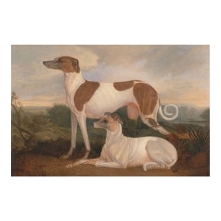 Vintage Greyhound Dog Art Print by Charles Hancock - 30" X 20" For Sale