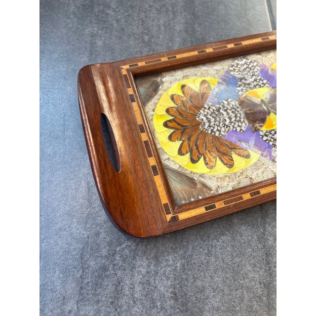 Vintage Morpho Butterfly Tray, 1940s For Sale - Image 4 of 6