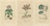 Drapiez, Heritage Blossoms, 1845, Hand-Colored Engravings, Set of 3 For Sale - Image 6 of 6