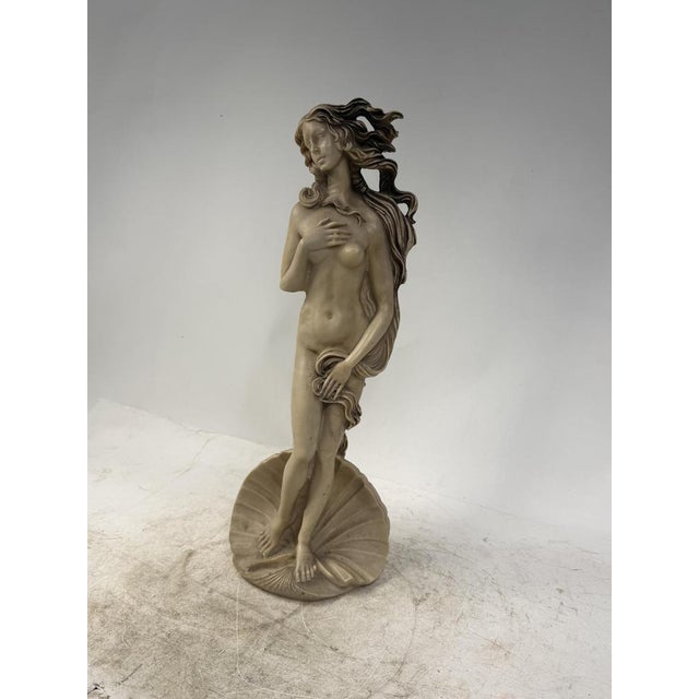 Cream Botticelli's Birth of Venus Statue, 1960s For Sale - Image 8 of 12