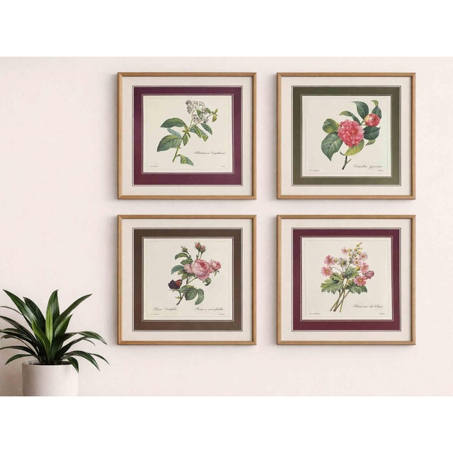 Mid 20th Century p.j. Redoute Botanical Art Prints - Set of 4 For Sale - Image 16 of 16