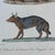 18th Century French Antique 18th Century "Le Chacal" Animal Engraving Hand Colored Signed Artwork For Sale - Image 5 of 11