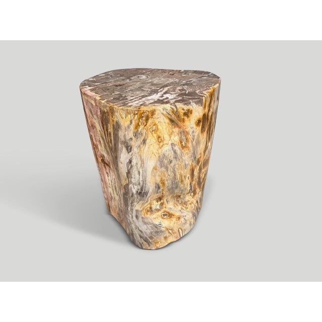 2020s Andrianna Shamaris Coral Toned High Quality Petrified Wood Side Table For Sale - Image 5 of 5