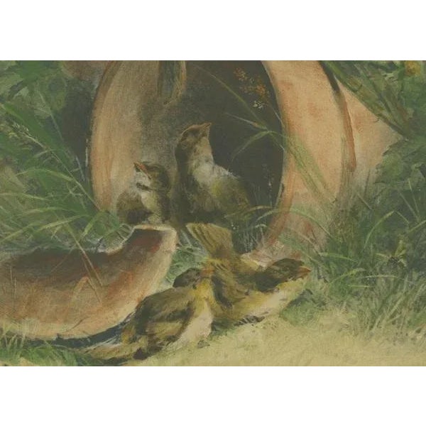 Hector Giacomelli, Nestled Sparrows in a Broken Flower Pot, 1891, Paper For Sale - Image 3 of 7