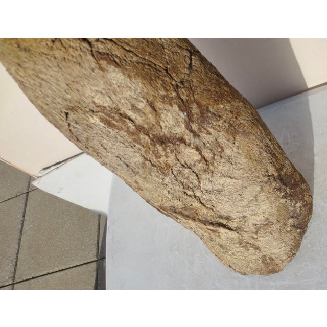 15th Century & Earlier Large Petrified Wood Log For Sale - Image 5 of 13