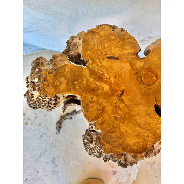 20th Century French Olive Wood Live Edge Side Table For Sale - Image 11 of 12
