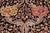 William Morris Pak-Persian Black/Taupe Wool Rug - 9'1'' X 11'9'' For Sale - Image 4 of 9