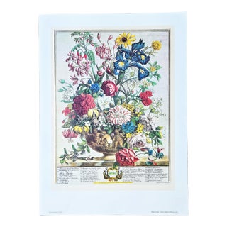 1980s Vintage Robert Furber June Botanical From "Twelve Months of Flowers” Pierpont Morgan Library Print For Sale