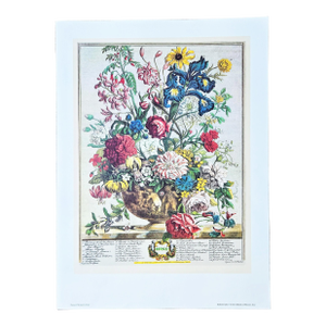 1980s Vintage Robert Furber June Botanical From "Twelve Months of Flowers” Pierpont Morgan Library Print