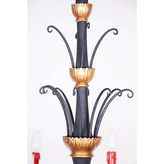 Black Empire Chandelier in Carved Pear, Steel & Gold Leaves, Austria, 1800s For Sale - Image 8 of 13