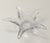 Late 20th Century Starfish Crystal Bowl French Signed Cofrac Art Verrier For Sale - Image 5 of 12