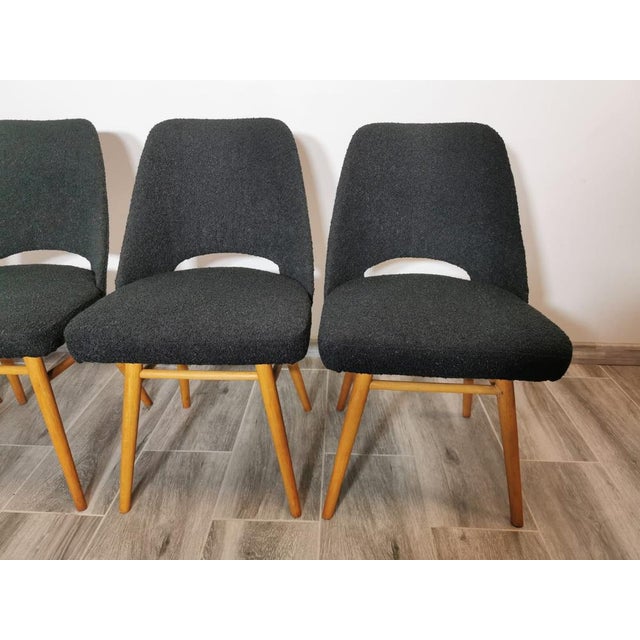 Dining Chairs by Oswald Haerdtl, Set of 4 For Sale - Image 6 of 18