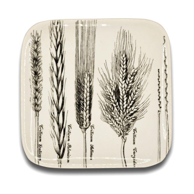 Spighe or Spikes Series Dishes by Piero Fornasetti, 1960s, Set of 6 For Sale - Image 4 of 9