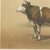 19th Century Borie, Mancelle Cow, French Cattle Breed, 1863, Chromolithograph For Sale - Image 5 of 9