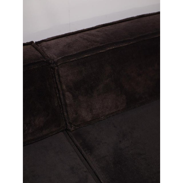 Trio Modular Sofa from Cor, 1970s, Set of 8 For Sale - Image 11 of 16
