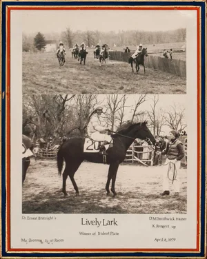 "Lively Lark" Marlborough Hunt Races Photo