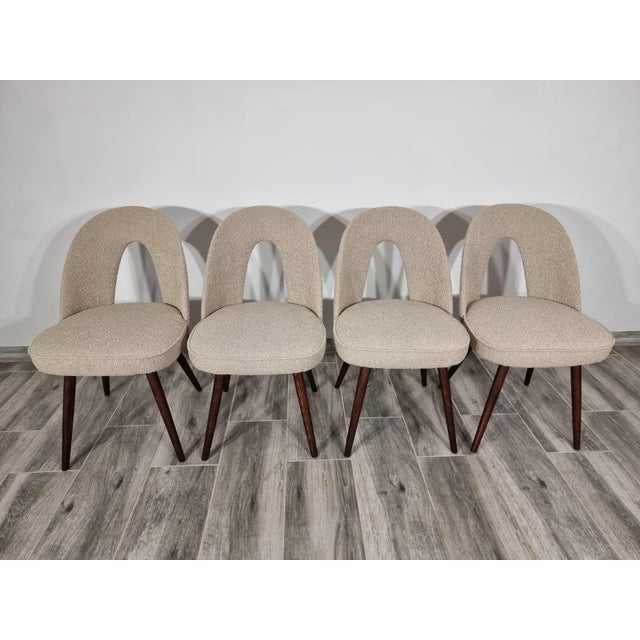 Dining Chairs by Antonin Suman, 1960s, Set of 4 For Sale - Image 15 of 15