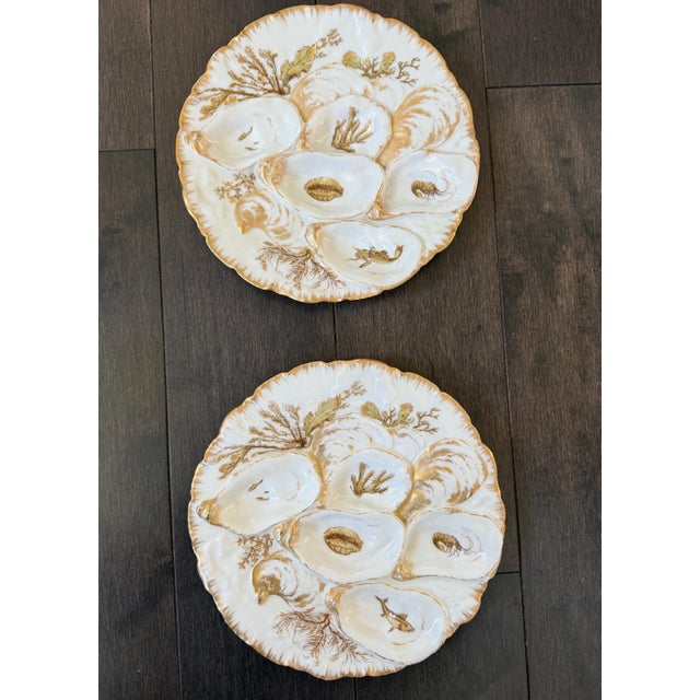 French Set/6 Rare Antique French Haviland & Co. Limoges Porcelain Turkey Pattern Oyster Plate 8.75" With Sea Creatures For Sale - Image 3 of 16