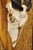 Vintage African Eland Skull Mount With Twisted Horns Taxidermy Cabin Decor For Sale In Philadelphia - Image 6 of 10