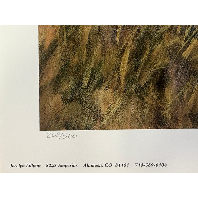 1990s Jocelyn Lillpop Russell Boundary Line Bison Buffalo Yellowstone National Park Signed Numbered American Print For Sale - Image 11 of 11