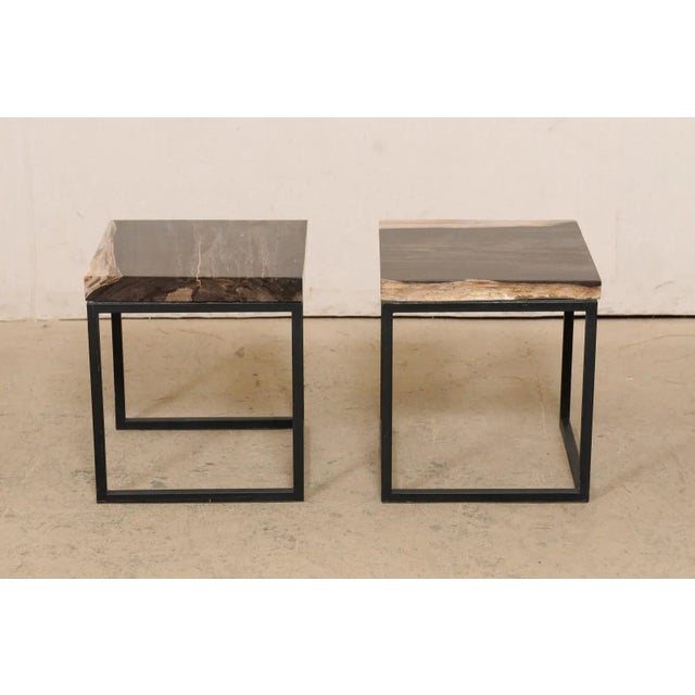 Petrified Wood Small End/Coffee Tables - a Pair For Sale - Image 9 of 11